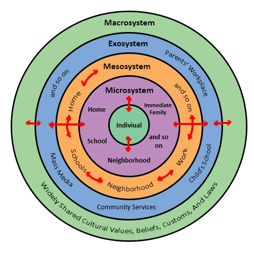 Urie_Bronfenbrenners_Bioecological_Model.webp