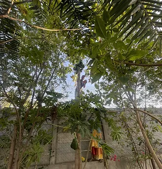 Farm Aavjo Process - Part II