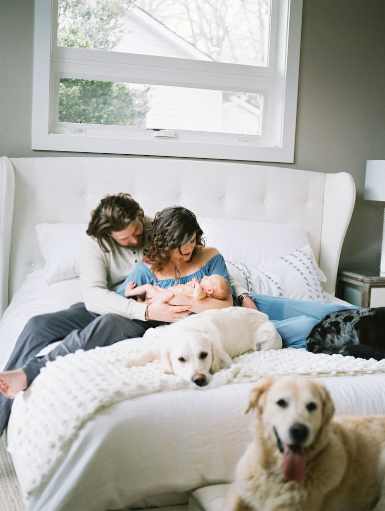 in-home newborn baby snuggled with parents and dogs on their bed in asheville