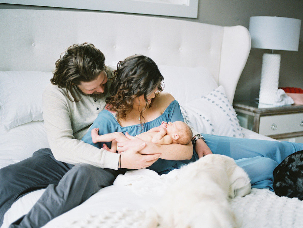in-home newborn session in asheville with dogs