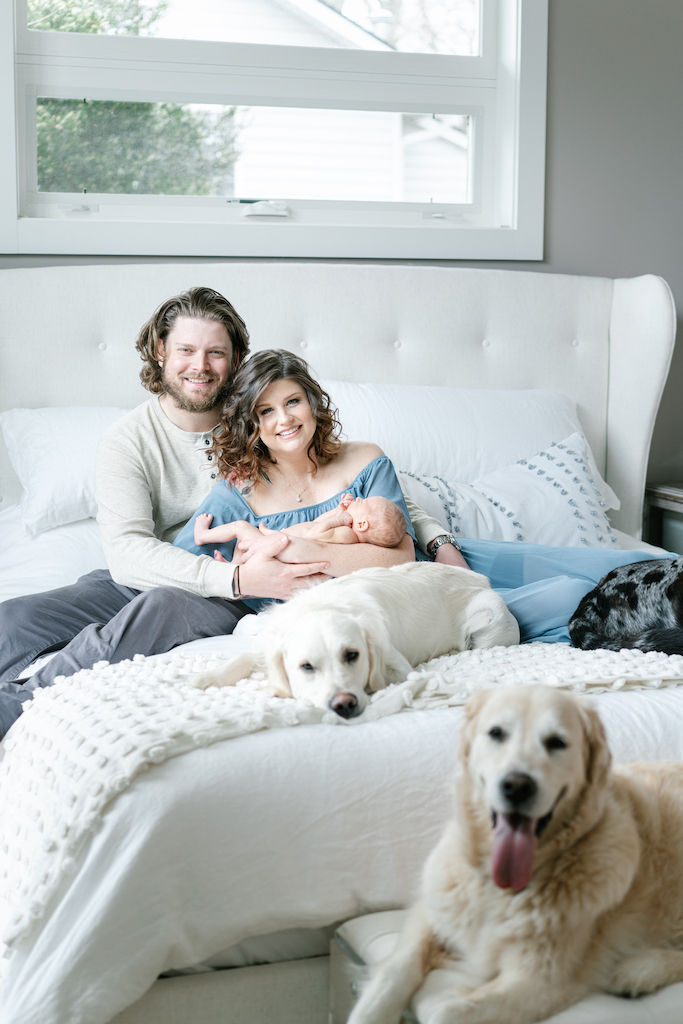 asheville newborn baby with dogs