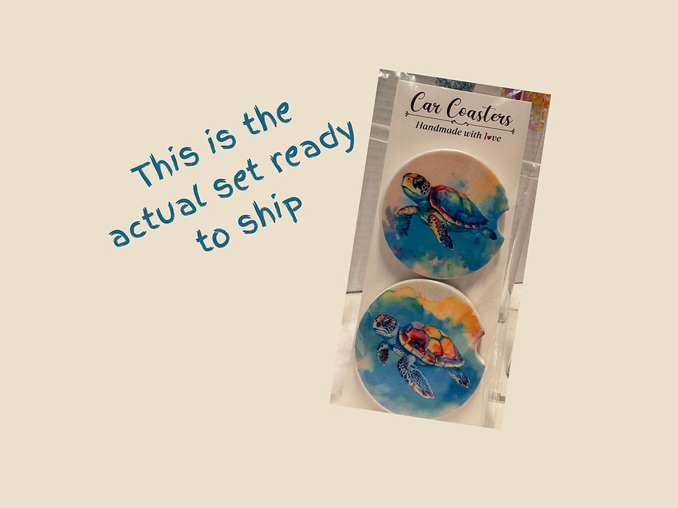Two piece sea turtle car coaster set packaged and ready to ship