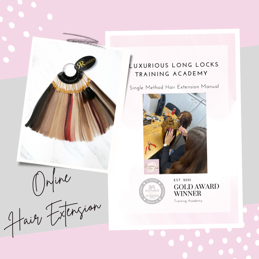 ONLINE • Single Method Hair Extension 