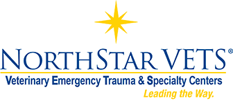 northstar_logo.gif