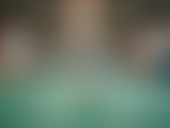 Inside a Service Dog Training Facility