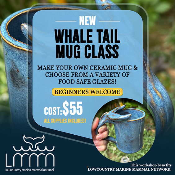 Lowcountry Marine Mammal Fundraiser