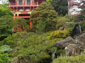 serene view at the Japanese Tea Gardens at Golden Gate Park in San Franisico 