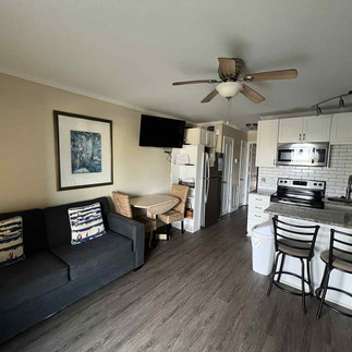 living room and kitchen area