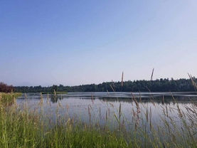 Tony Knowles Trail in Anchorage