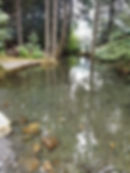 Gentle Creek down from waterfall where you pan for gold