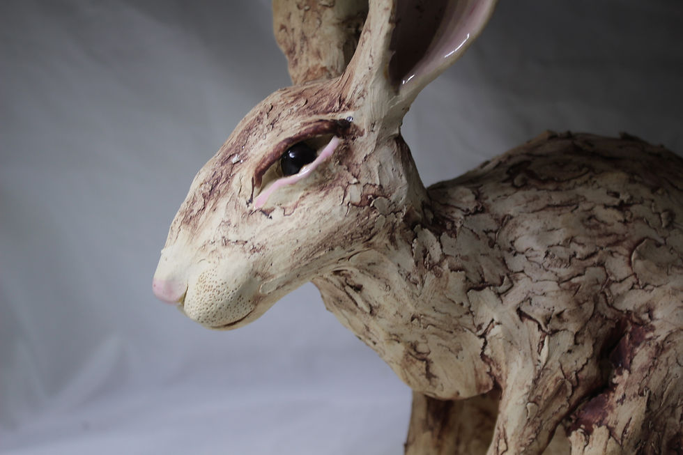 Hare