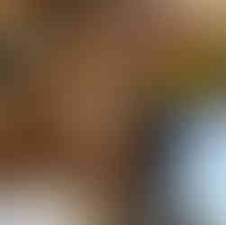 Hope Gibbs Final Draft Tangled Up In Blue