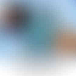 Hope Gibbs interview by Donna Norman-Carbone