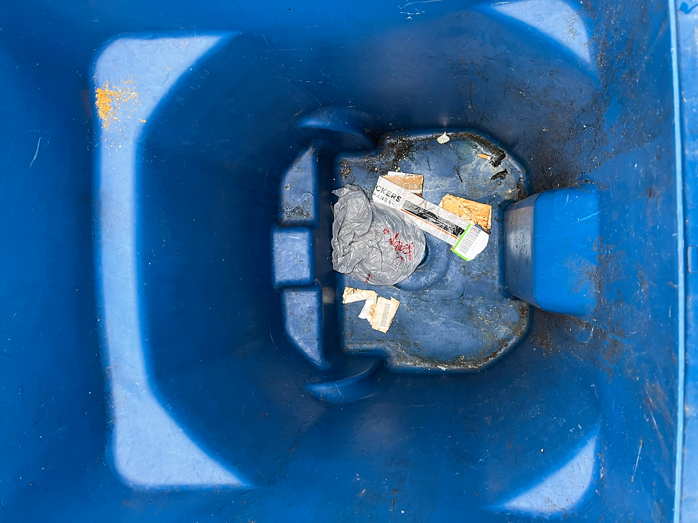 Bin Bubbles Trash Bin Cleaning Fort Wayne