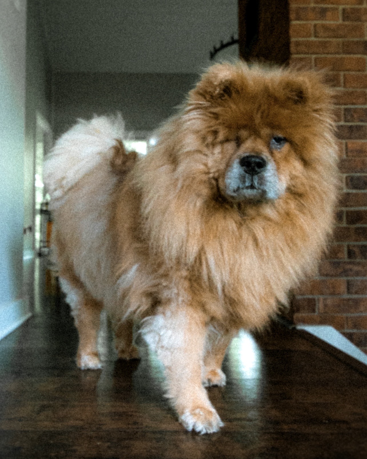 Winnie