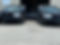 IMG_2320.jpeg