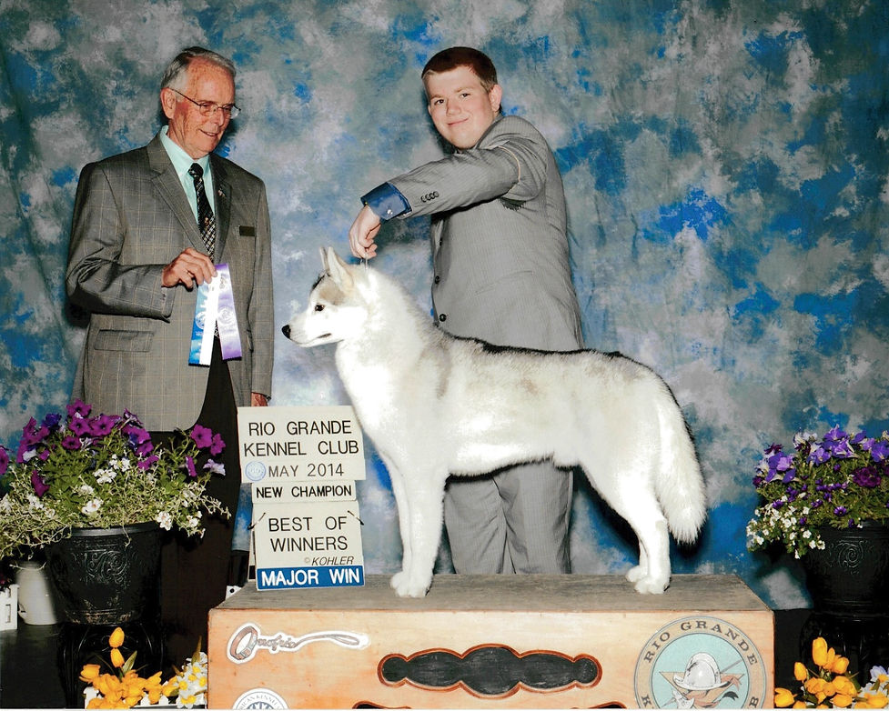 Charm (NewChampBOWMajorRGKC2014).jpeg