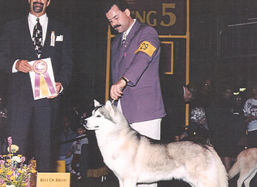 Casper BOBWestminster1995.jpeg
