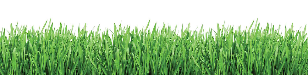 footer-grass.jpg