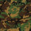 Thumbnail: Camouflage Cotton Print Fabric ("58/60")