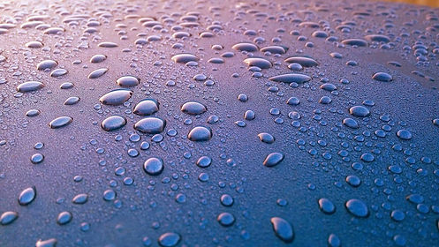 pexels-photo-339119-1-scaled-1.jpeg