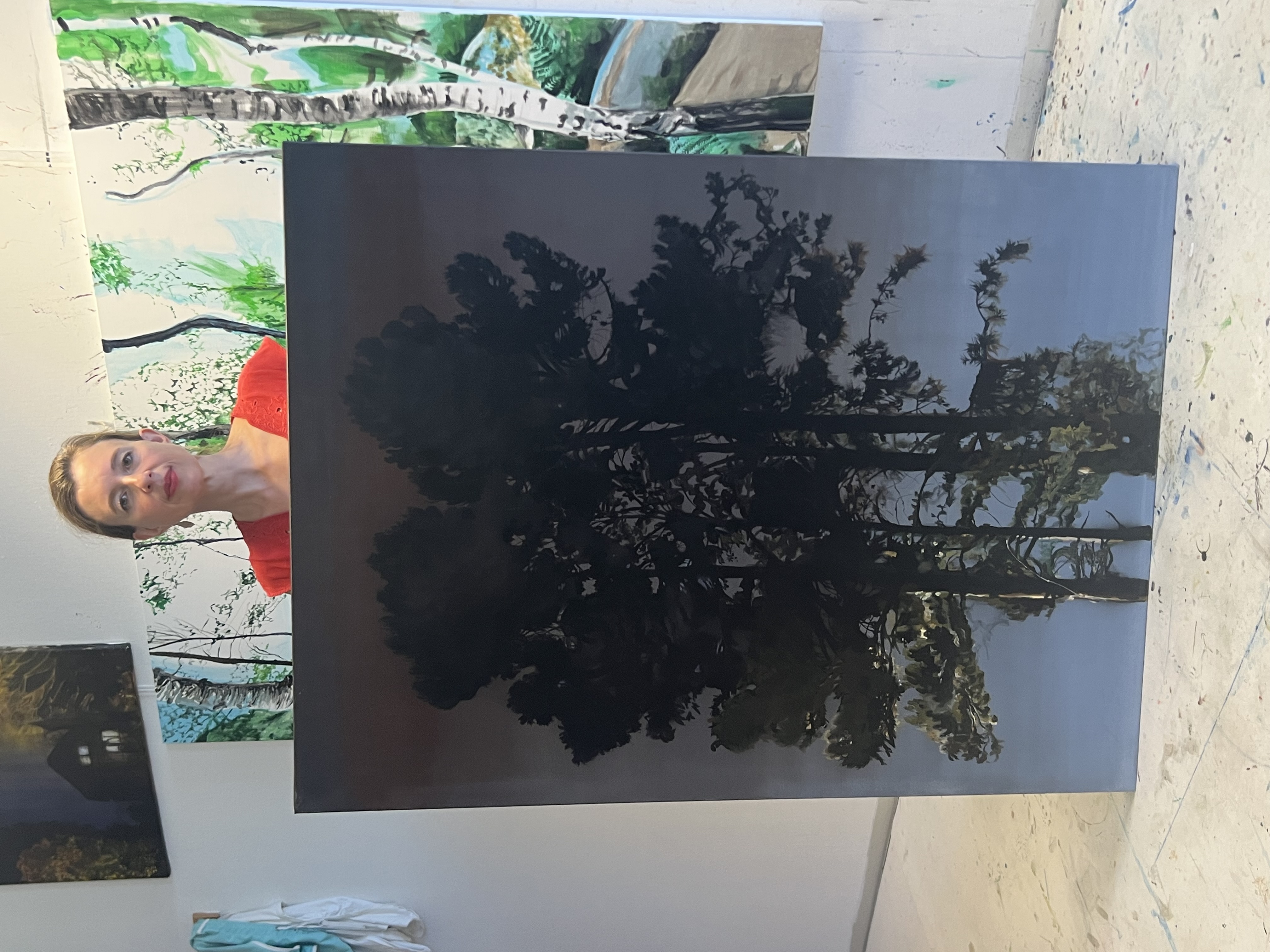 Pins nocturnes en gris