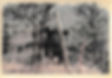 kunitomi_04