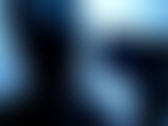 PHOTOGRAMS / PHOTOGRAPHY