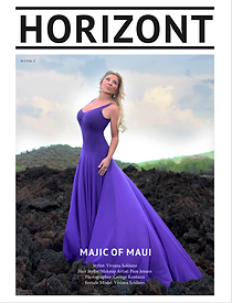 Screen Shot 2019-07-20 at 4.58.27 PM.png