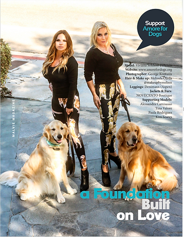 Screen Shot 2020-07-22 at 4.53.50 PM.png