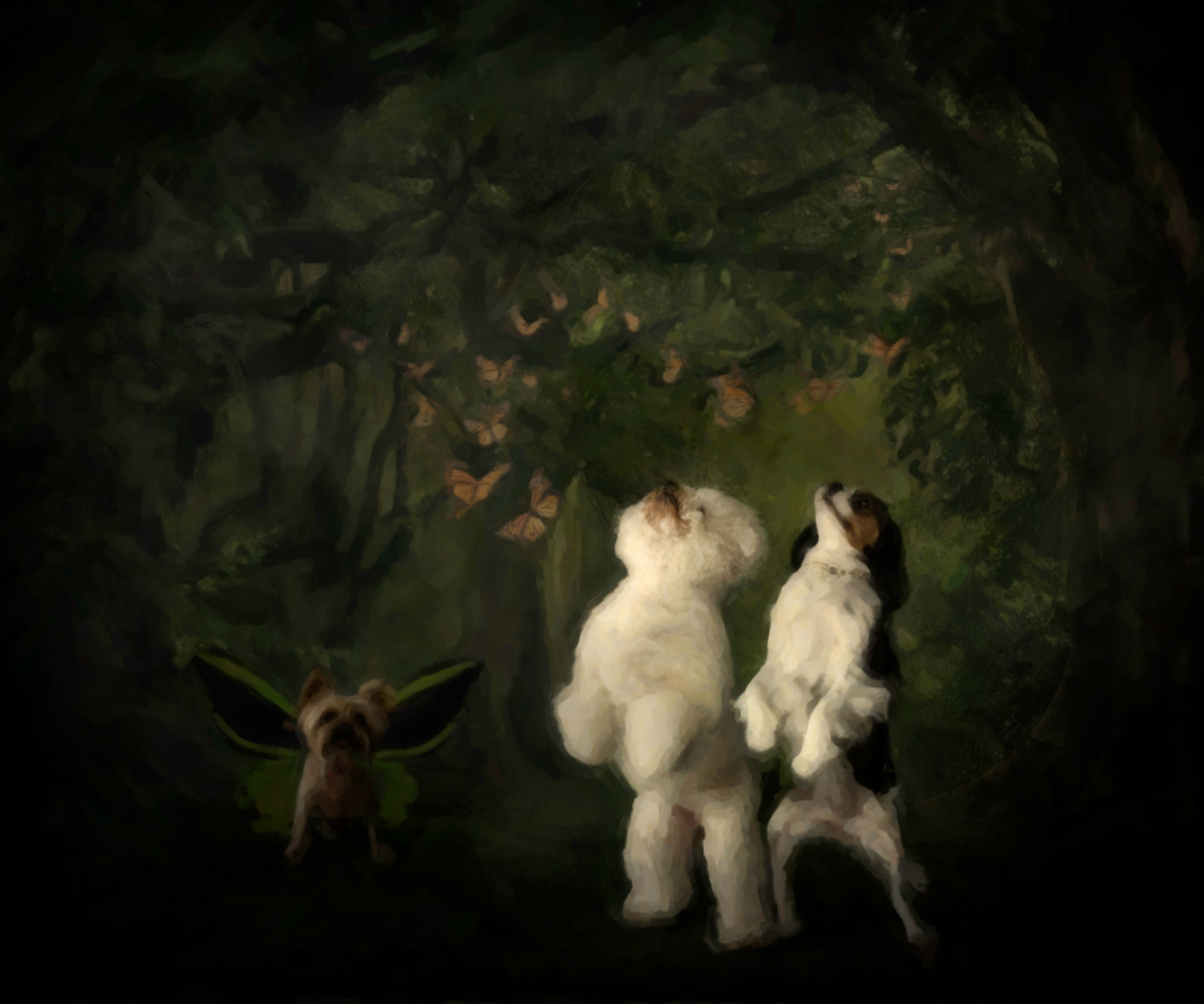 BUTTERFLIES  Art  Available for a $300 donation