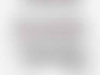 Me inscribà a la Especialidad en Derecho Animal ¿ahora que sigue?