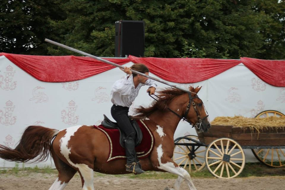 Spectacle Chambord 2014