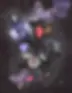 ANASUI.webp