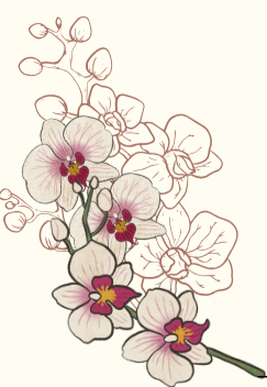 Writer: Orchid Home Care