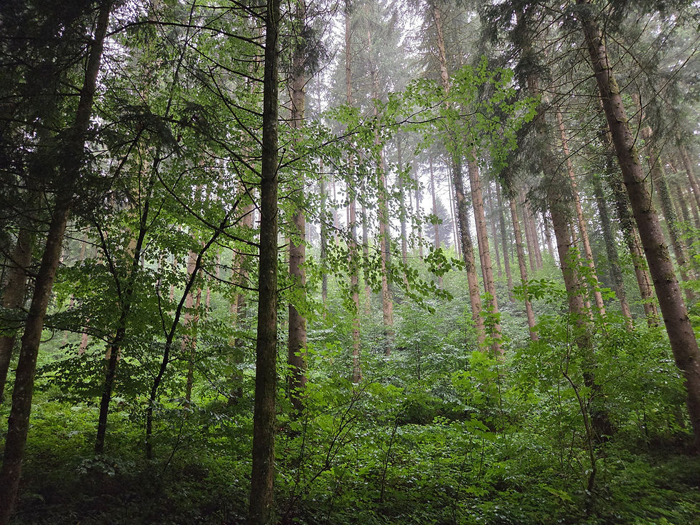 20260718_203355.jpg