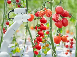 Robots on the Farm: How Robotics Will Shape the Future of Farming in Africa