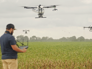 Solving the Digital Divide in South African Agriculture: Pathways to Inclusive Growth