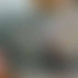 The AU's Inaugural Digital Agriculture Conference: A Significant Step Toward Agenda 2063