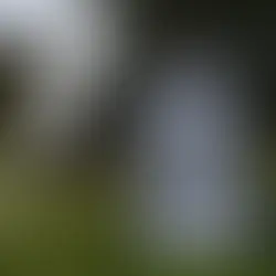 Starlink and Your Farm: How to Get Connected in SA – Even While the Ban Is Still in Place