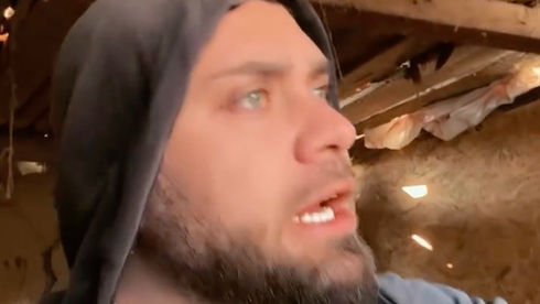 Prințule...A fătat găina...Avem trei pisoi!...Ai băgat mâța lui Ciordis aici?!...Bine că n-a ieșit crocodil, caracatiță...SMILE OF THE DAY de la THEVIKINGRO