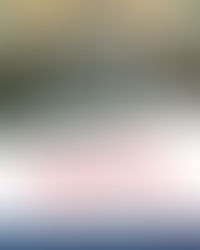 NU PLEACĂ CÂINII DE LA MĂCELĂRIE. 9 actuali senatori din 134 au votat pentru reducerea numărului de parlamentari. Restul n-au avut onestitatea să spună clar că se opun. Au dat-o pe prelungire