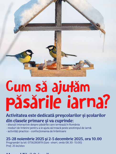 CUM AJUTĂM PĂSĂRILE IARNA? Atelier de educație muzeală. 25-28 noiembrie și 2-5 decembrie 2025. Orele 10-11. 25 ron/elev. Muzeul Țării Crișurilor