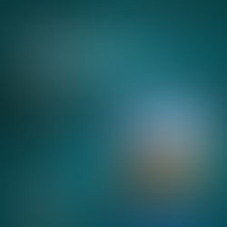 IRISPSC Oradea. Lansarea cărții Calea Mare – Istoria unui sat „fără istorie”. De Ioan Ciorba. Prezintă Prorectorul UO SORIN ȘIPOȘ. Moderator GABRIEL MOISA, decan IRISPSC Oradea. 8 decembrie