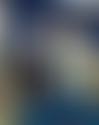 CHAMPIONS ORADEA la "Cupa de Aur" 2025. 400 sportivi, 33 de cluburi. Din România și Ungaria. 5 medalii de aur prin Salajan Ilian, Chise Razvan, Barbu Raisa, Anghel Veron și Taghatine Sofia