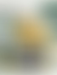 PRIMĂRIA ORADEA oferă in 2026 finanțări nerambursabile de 500.000 ron pentru activitățile nonprofit de interes local. Cultură, învățământ, sport, tineret, protecția mediului și social-comunitar.