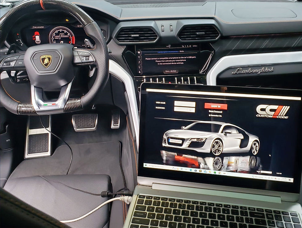 lambo for site 1_edited.jpg