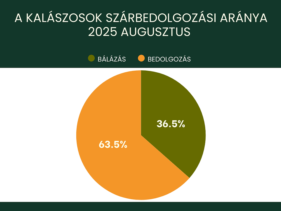 1. grafikon: A kalászosok szárbedolgozási aránya 2025 augusztus (Forrás: Agro Kalendár)