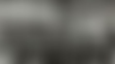 Saison 2019 Stars I solide Leistung in der 2.Liga