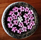 Pregnancy massage Doula, fertility, san diego, prenatal massage